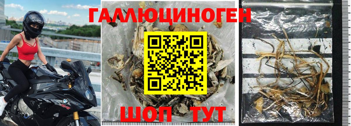Галлюциногенные грибы прущие грибы Усть-Лабинск