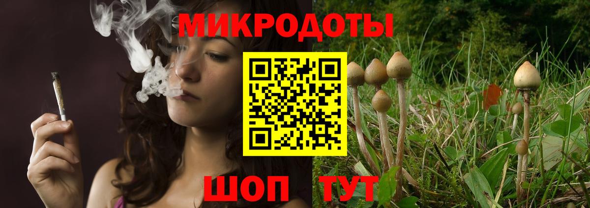 Усть-Лабинск  Псилоцибиновые грибы мухоморы  Вход с VPN 